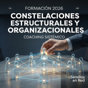 Constelaciones Estructurales, Organizacionales y Coaching Sistémico Producto